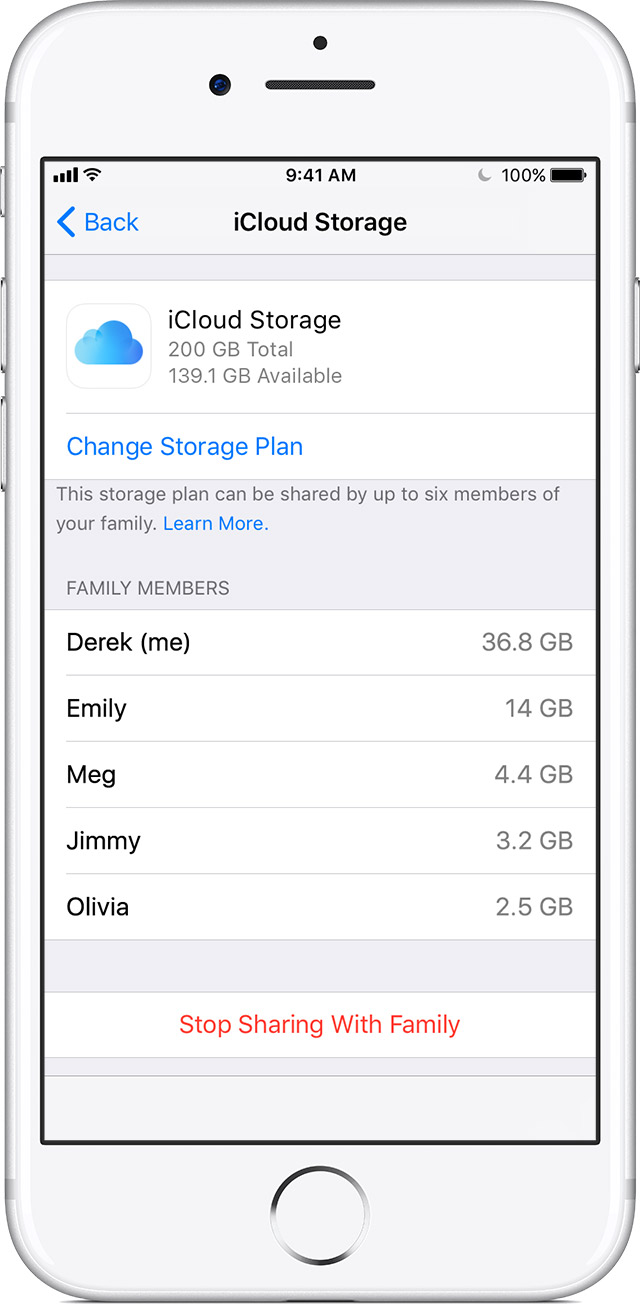 Share an iCloud storage plan with your family - Apple Support