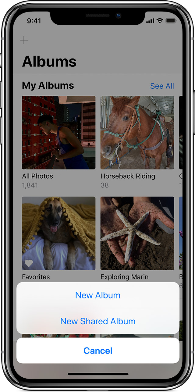 Ios12 Iphone X Photos New Shared Album 