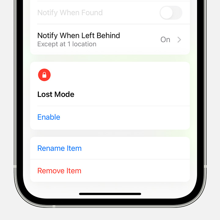 Tap Remove Item to remove an item from Find My and remove Find My Lock.