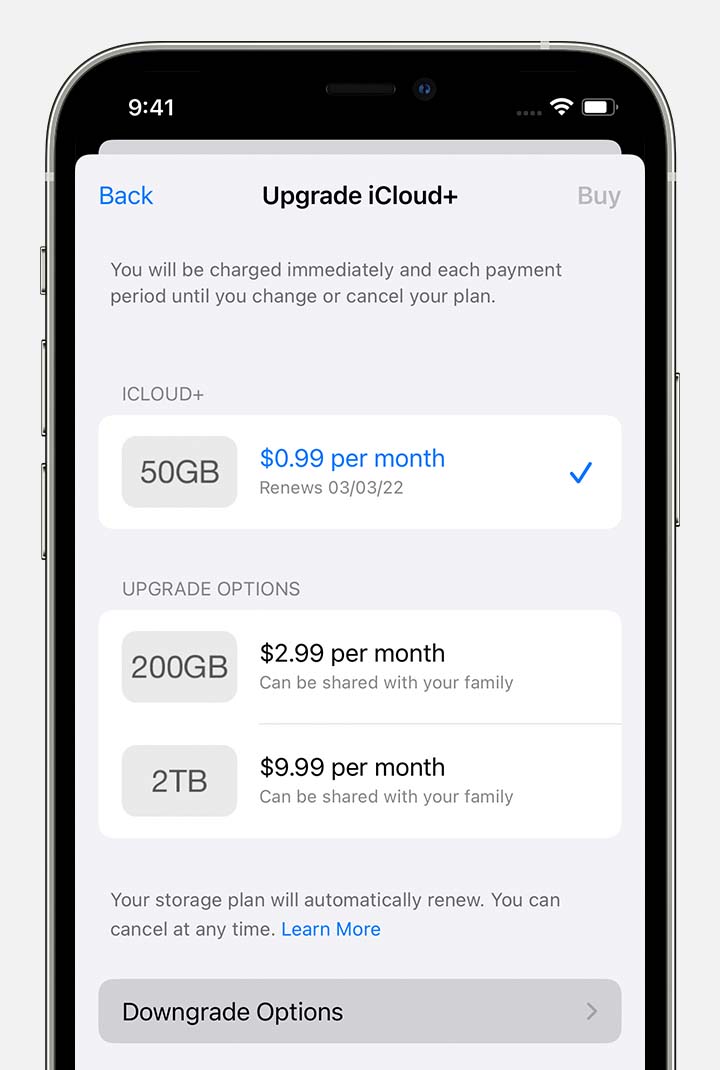 Napauta Pienentämisvaihtoehdot, niin voit muuttaa iCloud+-tilauksen pienemmäksi tai perua sen iPhonessa