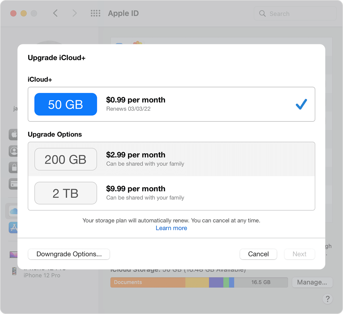انقر على Downgrade Options (خيارات التخفيض) لخفض باقة التخزين أو إلغائها على Mac