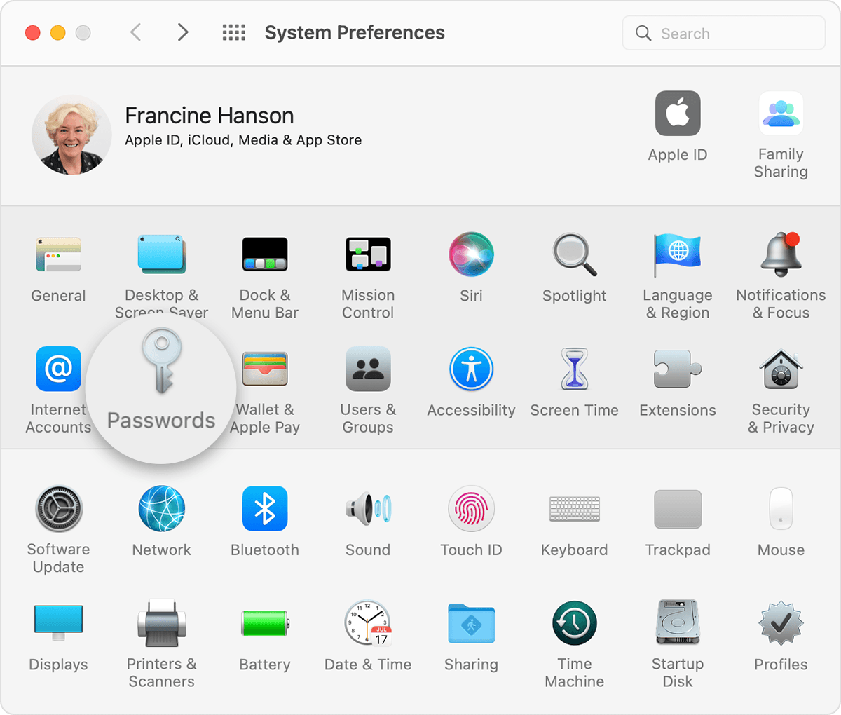 In the macOS System Preferences menu, Passwords is next to Internet Accounts and Wallet & Apple Pay.