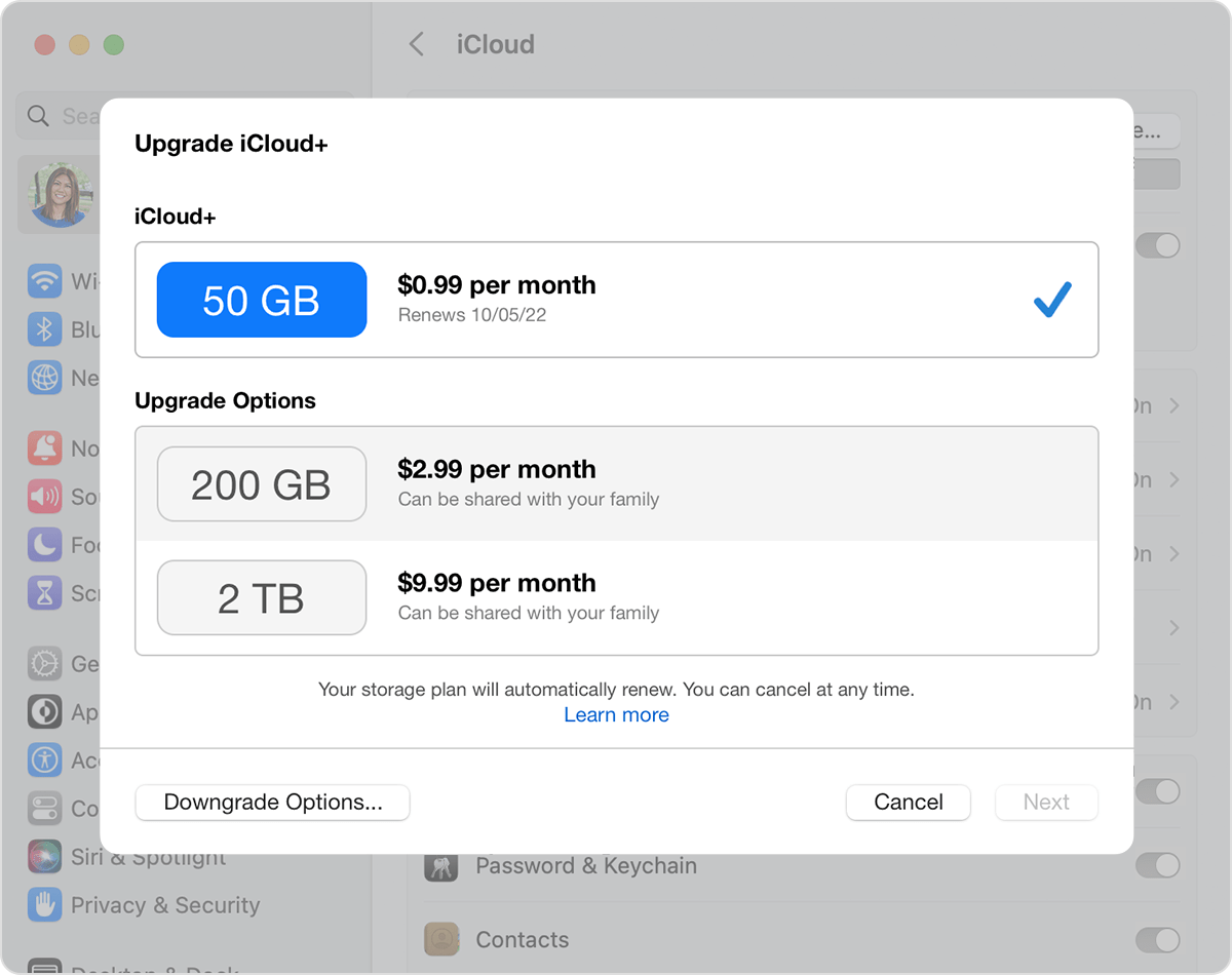 Downgrade or cancel your iCloud+ plan - Apple Support