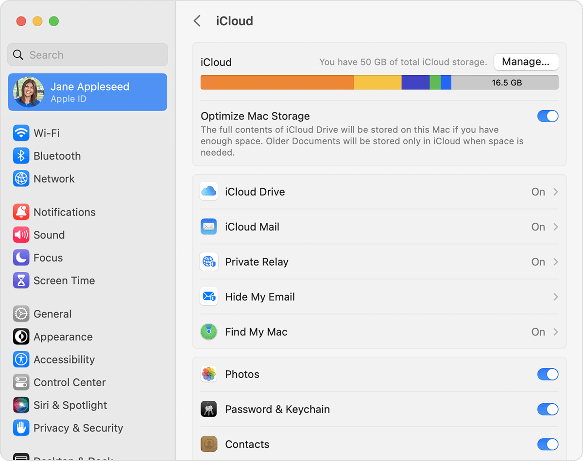 iCloud Drive is listed below the Optimize Mac Storage section.