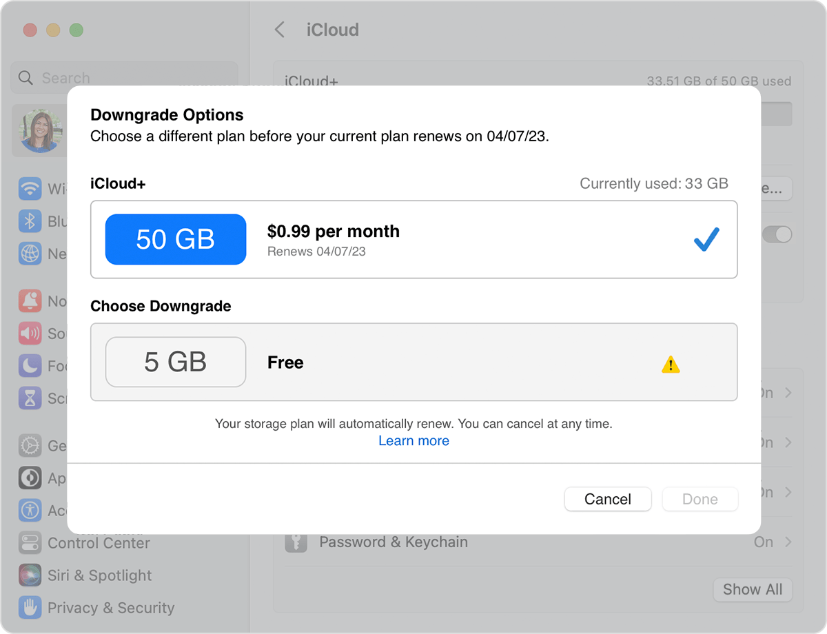 After you click Downgrade Options, you're shown your current iCloud+ plan and available downgrade options.