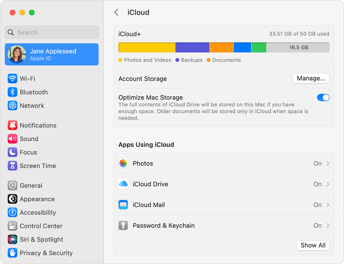 iCloud Drive is listed under Apps Using iCloud.