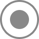 gray record icon