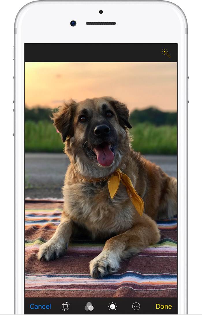 Foto's maken en bewerken met iPhone, iPad en iPod touch Apple Support