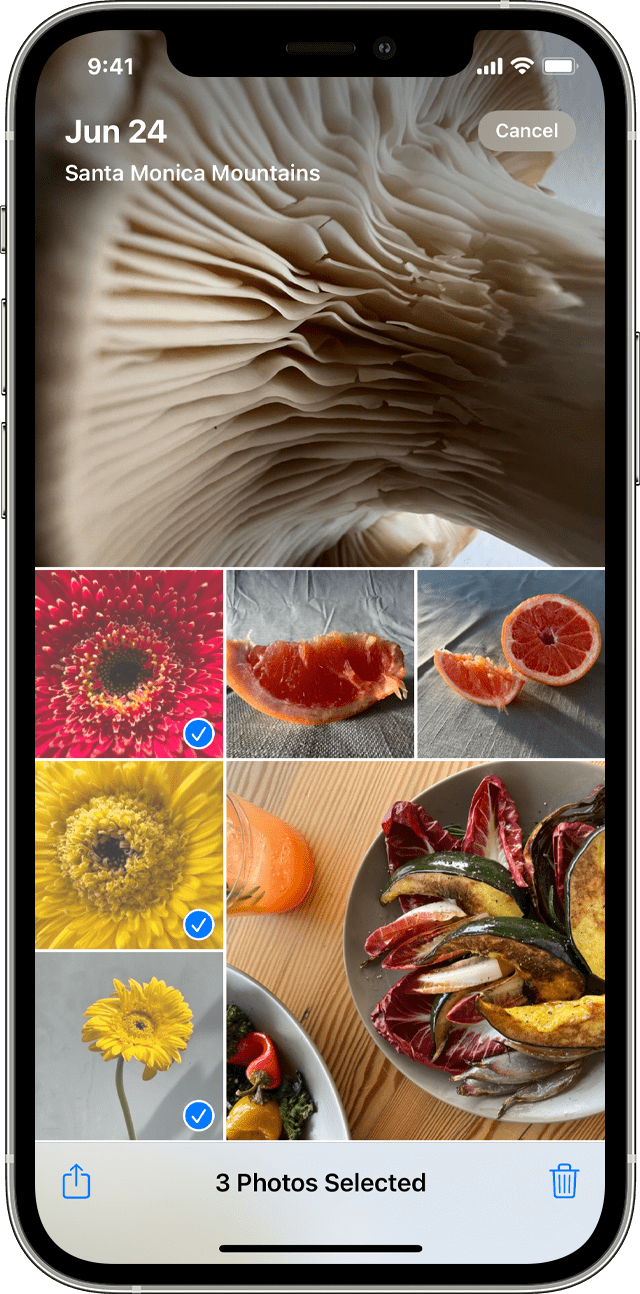 Экран iPhone с несколькими фотографиями, выбранными в приложении «Фото»