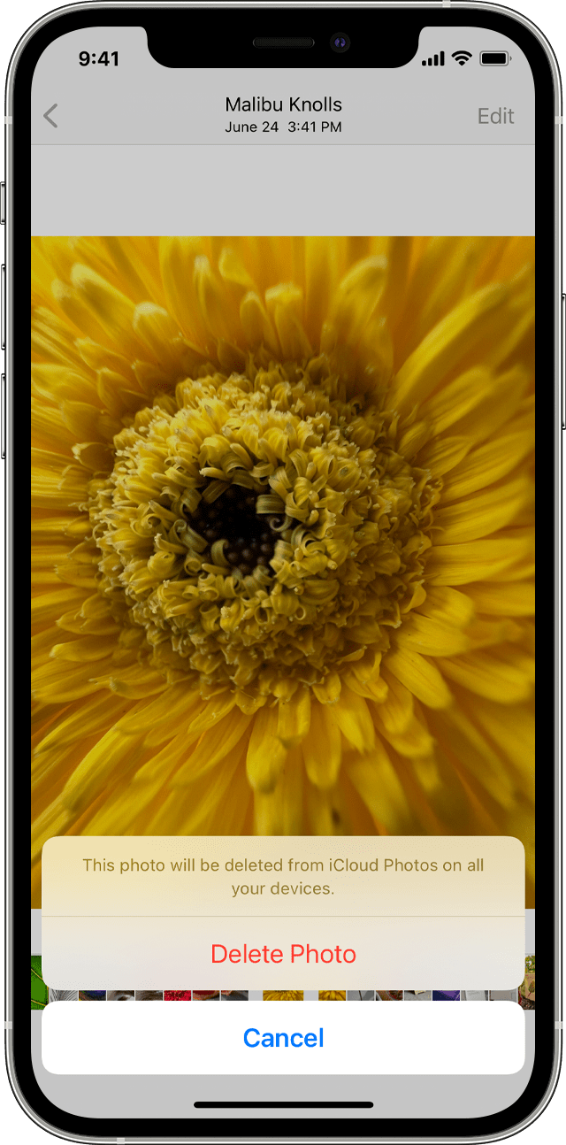 iPhone showing Delete Photo option