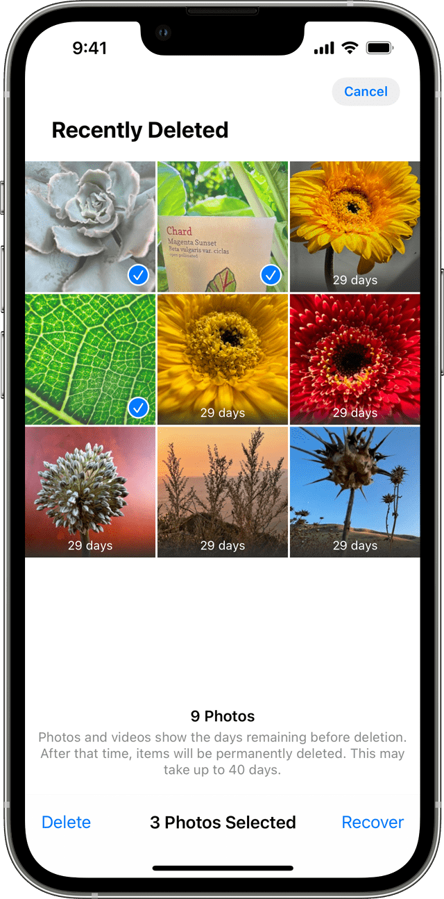 iPhone Recently Deleted album with three photos selected