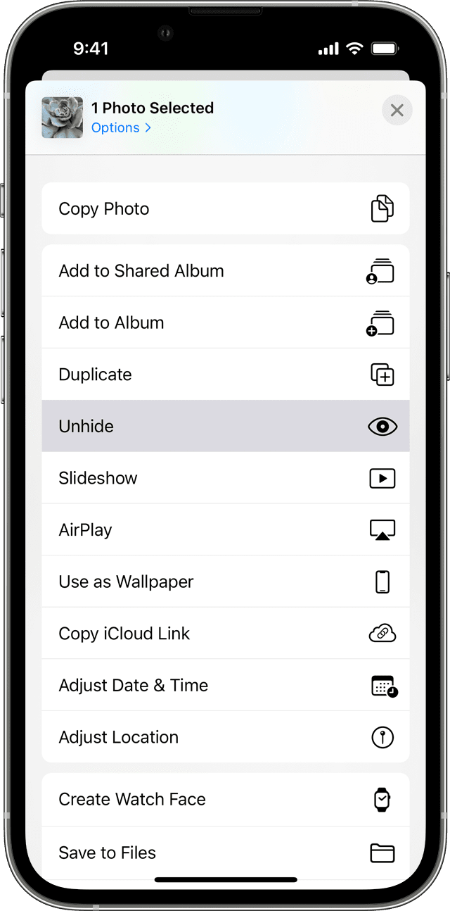 Hidden photo share options screen with Unhide selected.