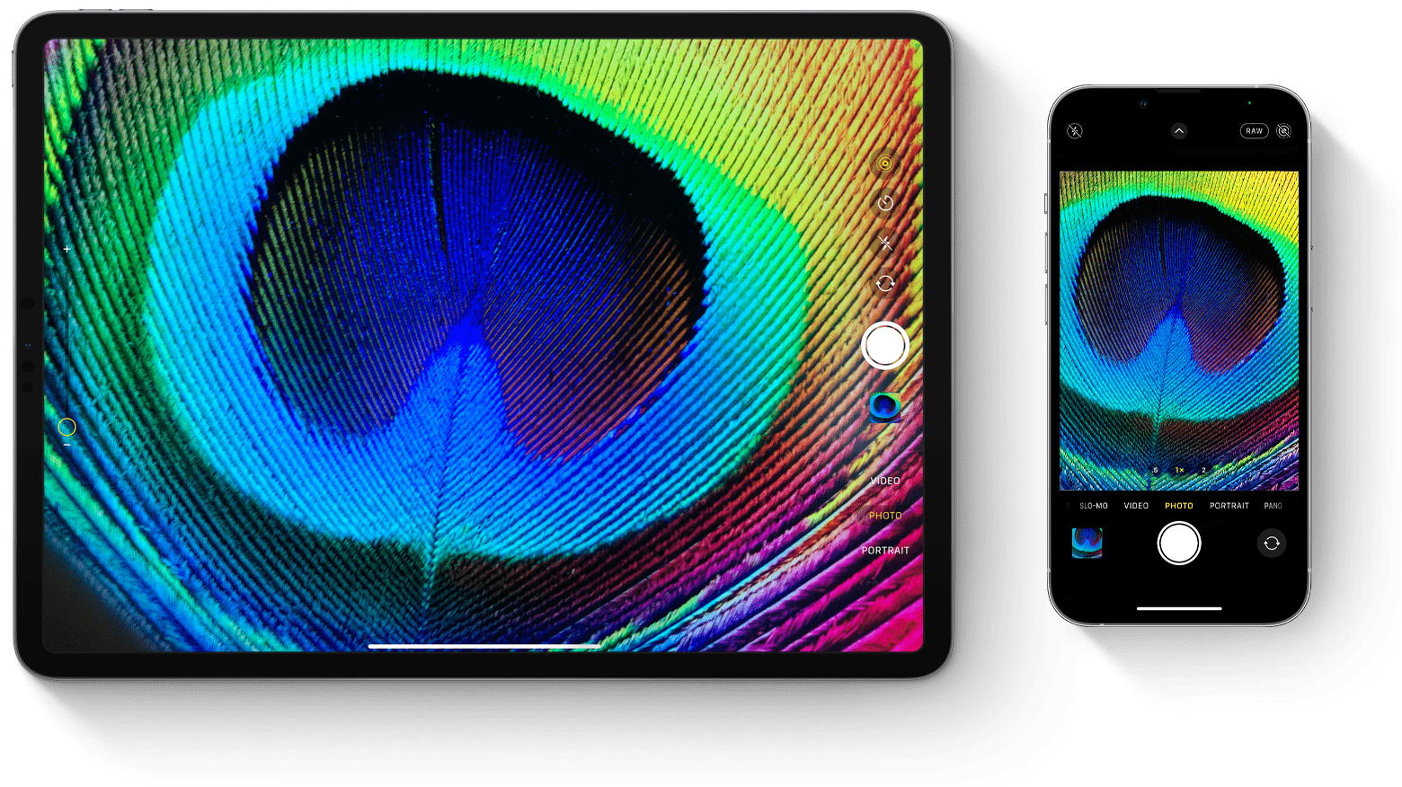iPad Pro 和 iPhone 均開啟「相機」App，且取景框顯示相同的物體