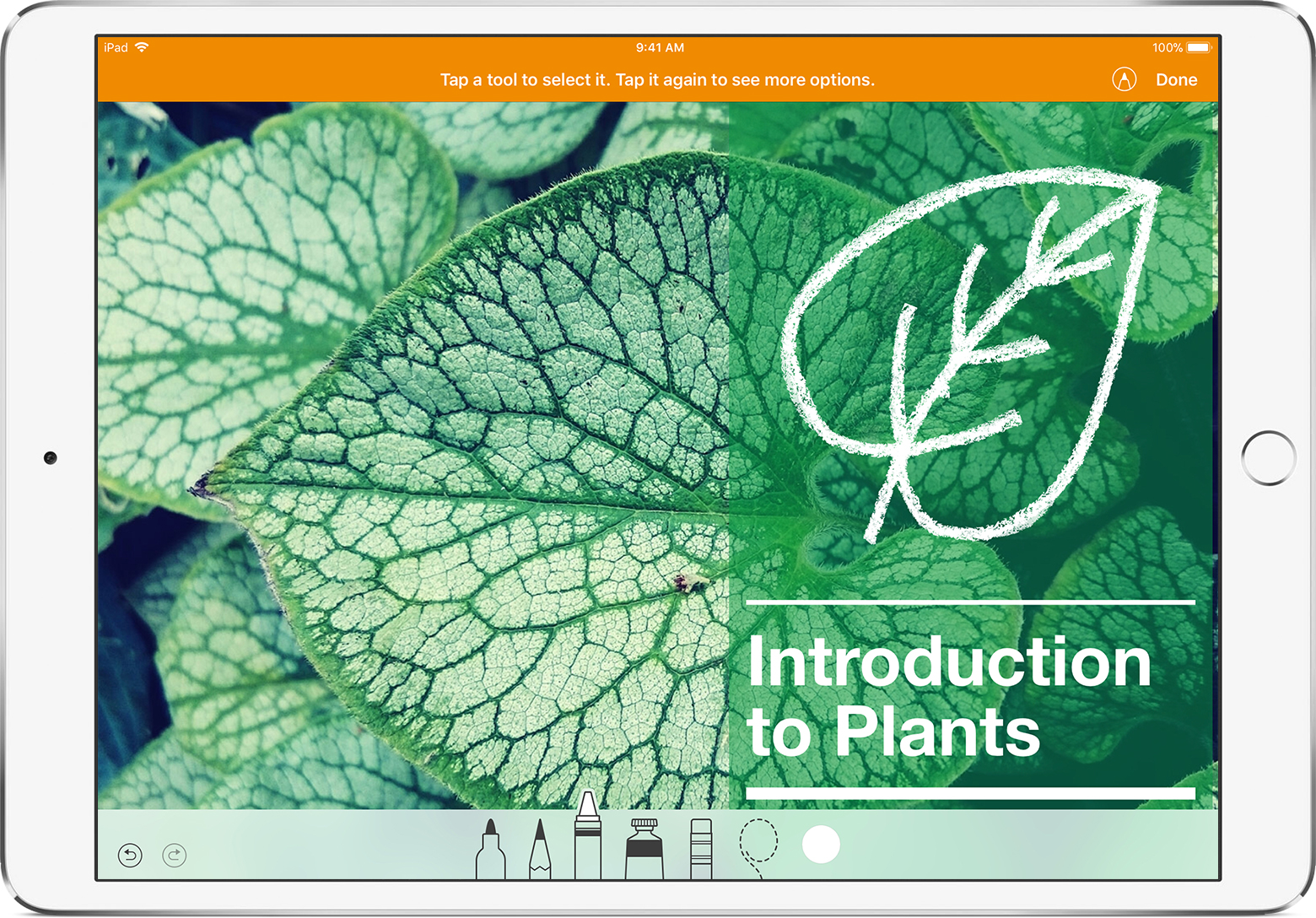 Draw and annotate in Pages on your iPad, iPhone, iPod touch Apple Support