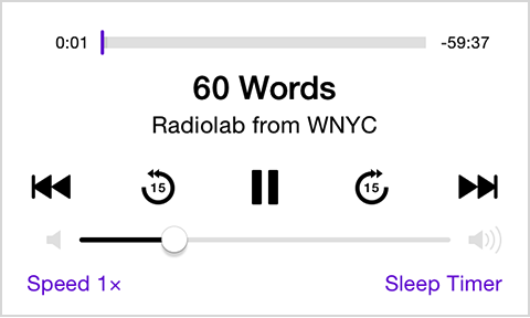 Podcast playback controls