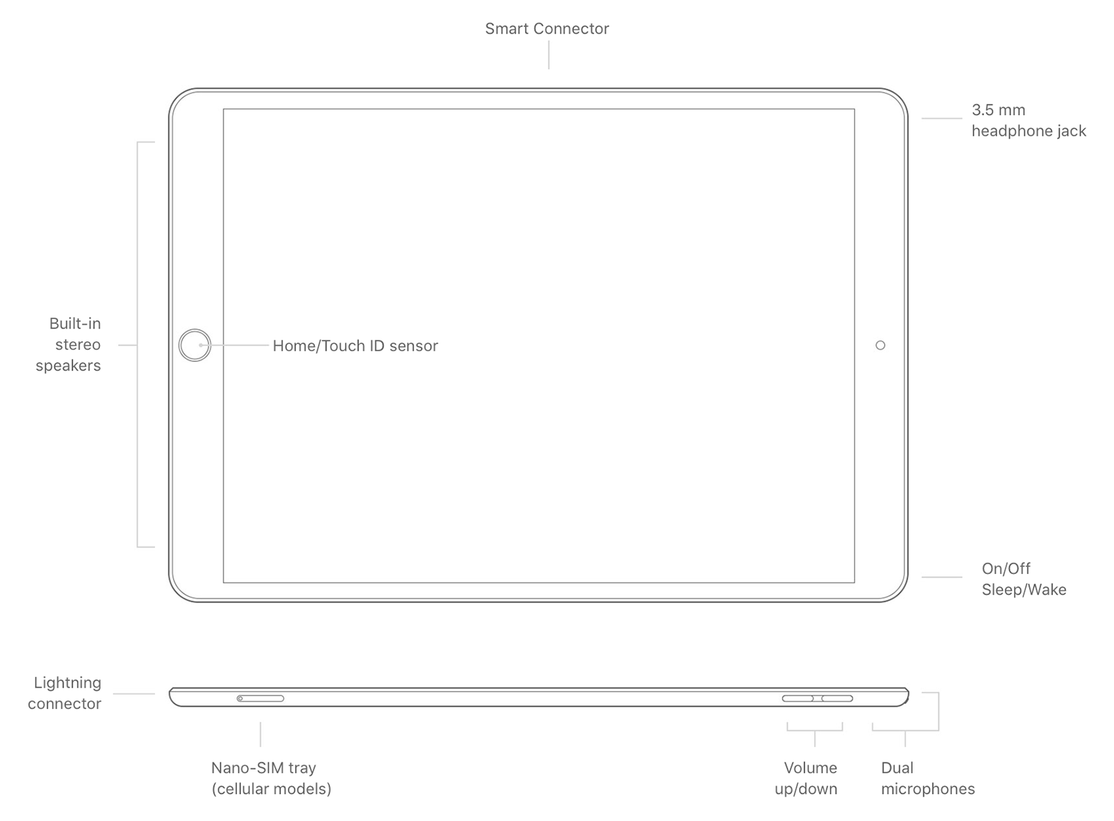 How To Identify Your iPad Model / Correct IPSW Firmware