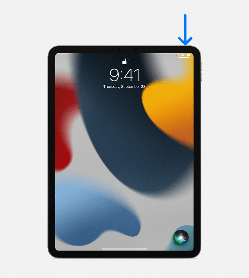 „iPad Pro“ rodoma, kaip paspaudžiamas šoninis mygtukas „Siri“ suaktyvinti