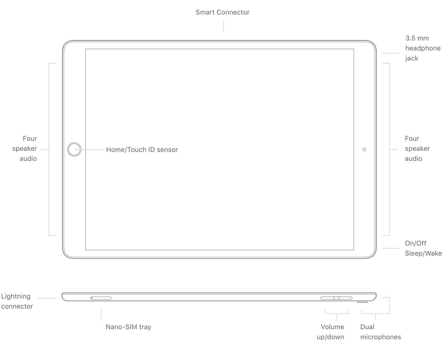 How To Identify Your iPad Model / Correct IPSW Firmware