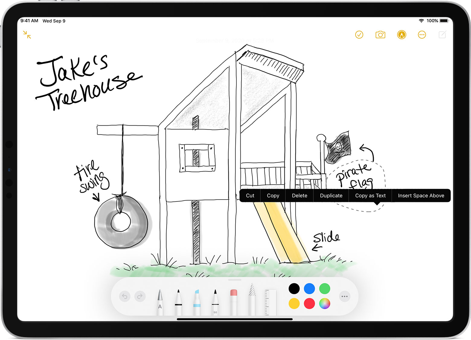 apple pencil sketch