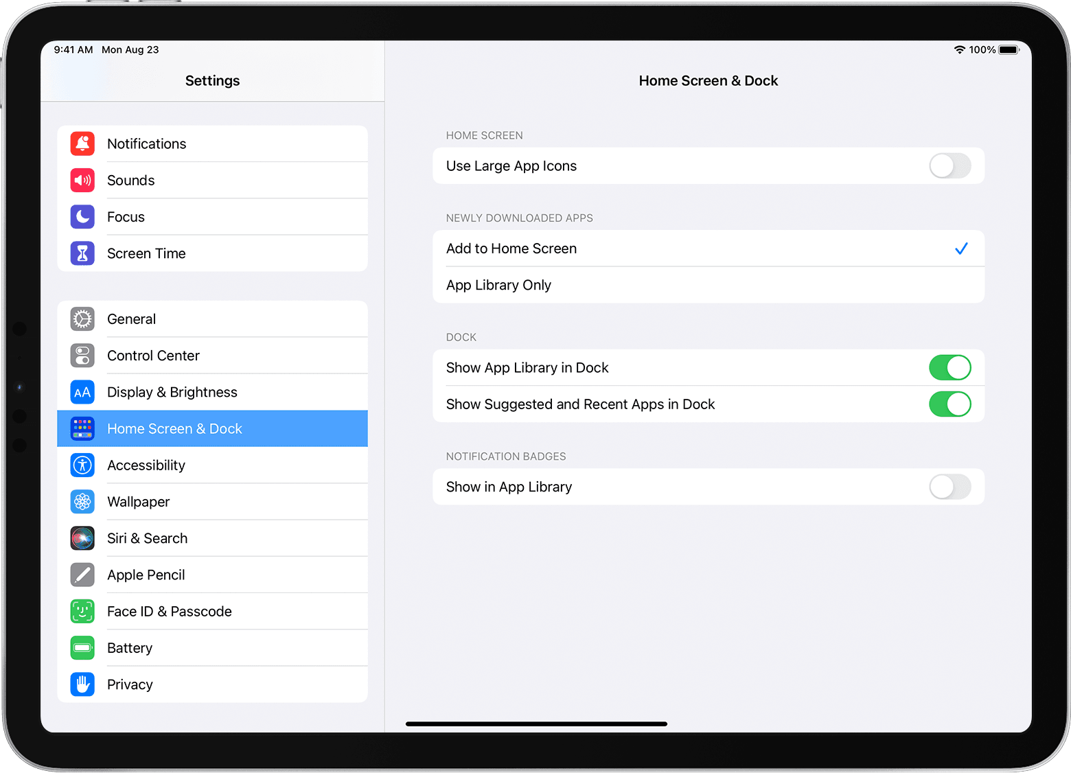 iPad screen showing Home Screen & Dock settings