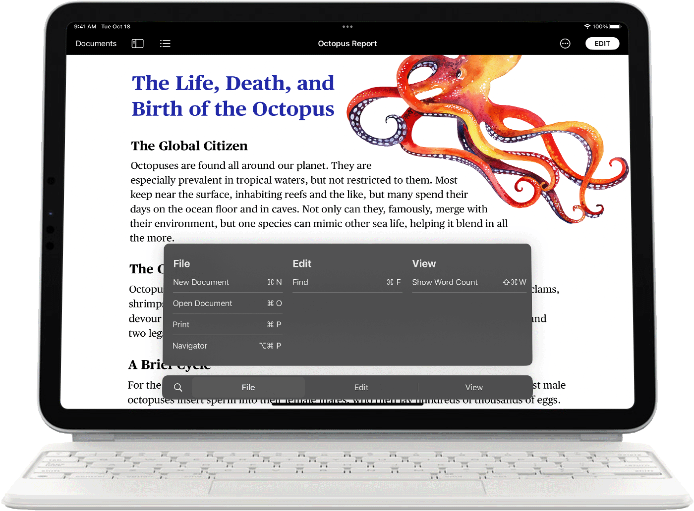 ipad pro safari keyboard shortcuts