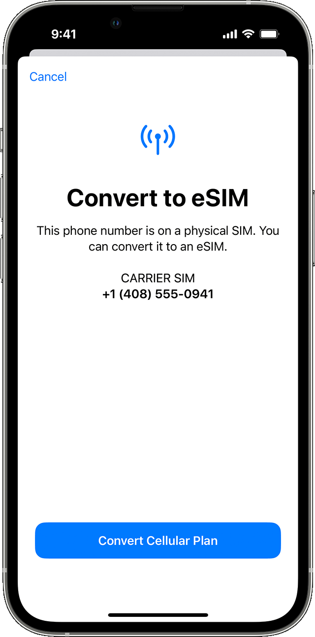 What happens when you convert SIM to eSIM?