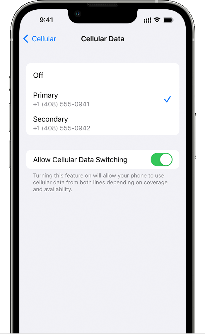 Using Dual SIM with an eSIM - Apple Support