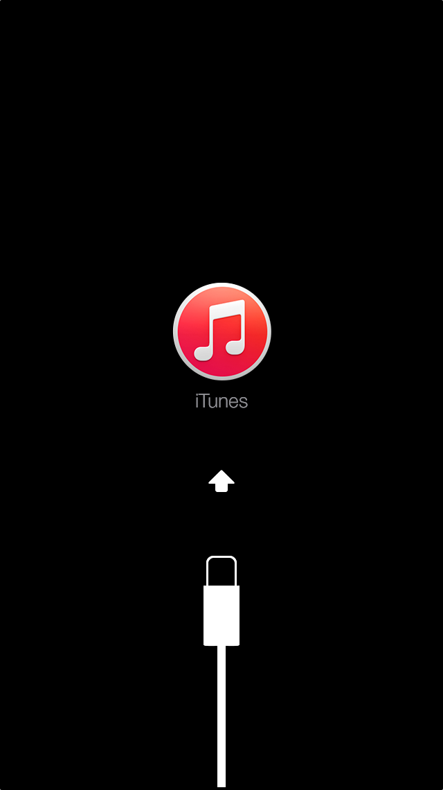 download the new version for ipod Don