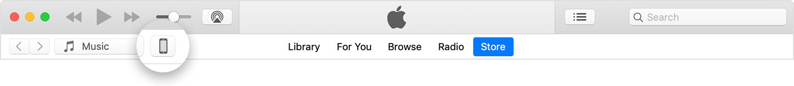 The device icon in the top left-hand corner of the iTunes window.