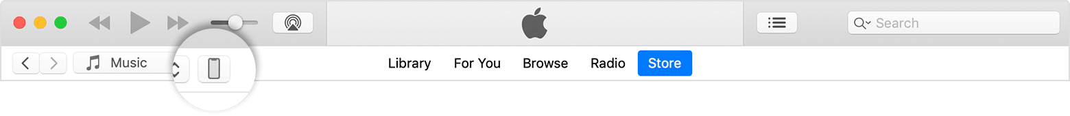 The device icon in the top left-hand corner of the iTunes window.