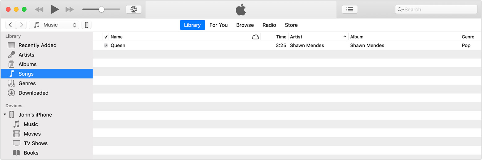 screen showing songs in iTunes