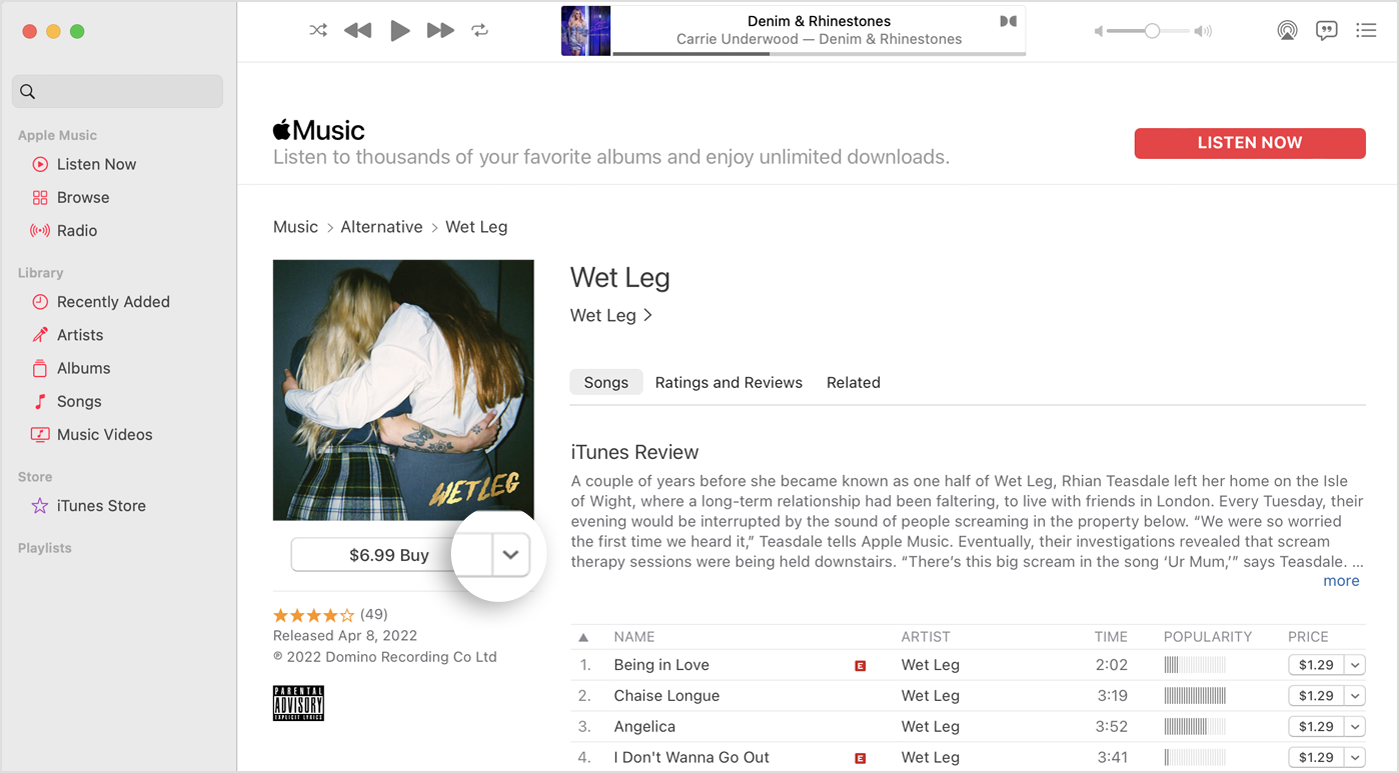 Mac 上的“音乐”App 中的 iTunes Store。