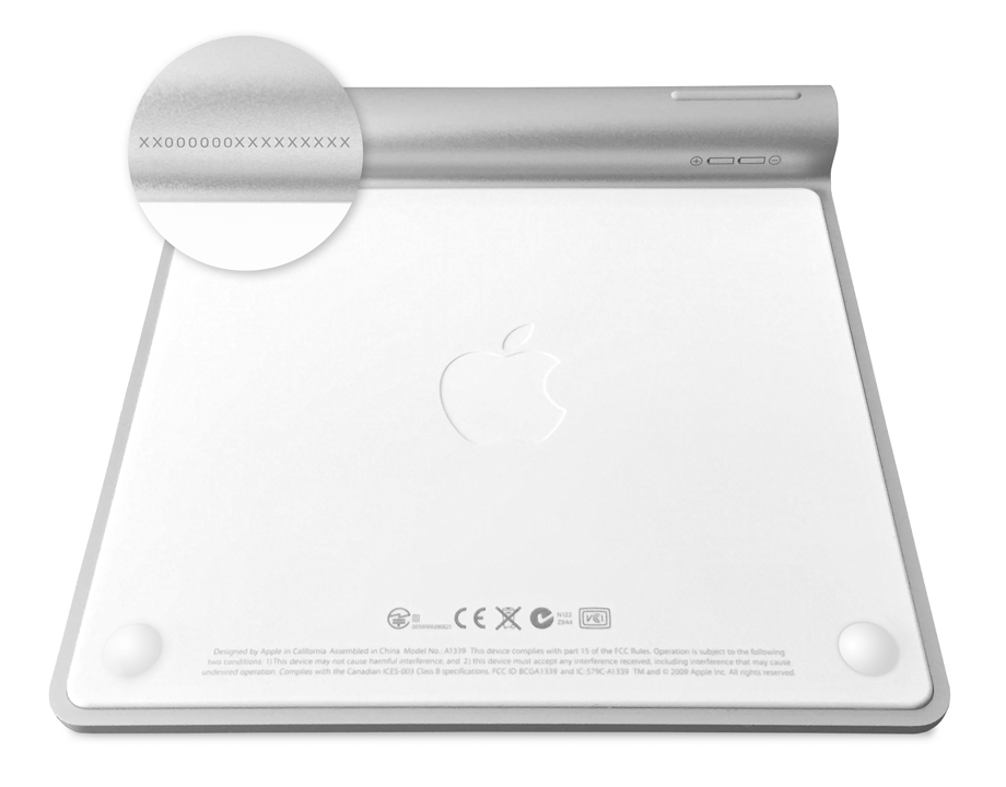 does the apple trackpad magic mouse 2 work with ipad pro