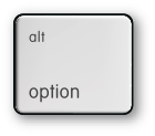 Mac option 키