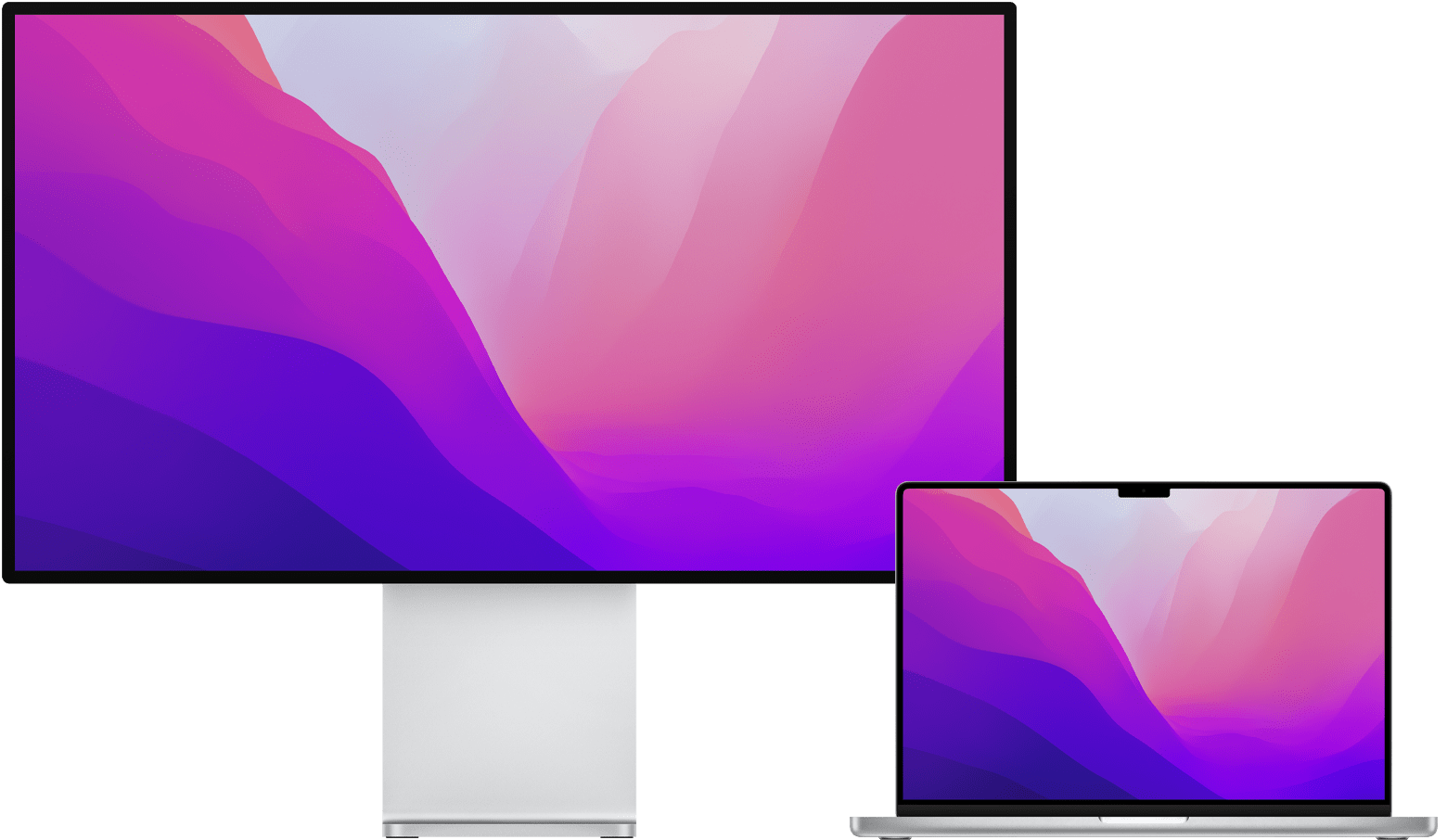 mac dual monitors one display port