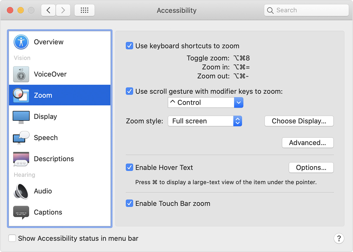 make the mouse bigger on mac for video recorder