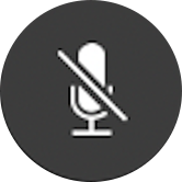 mute microphone mac