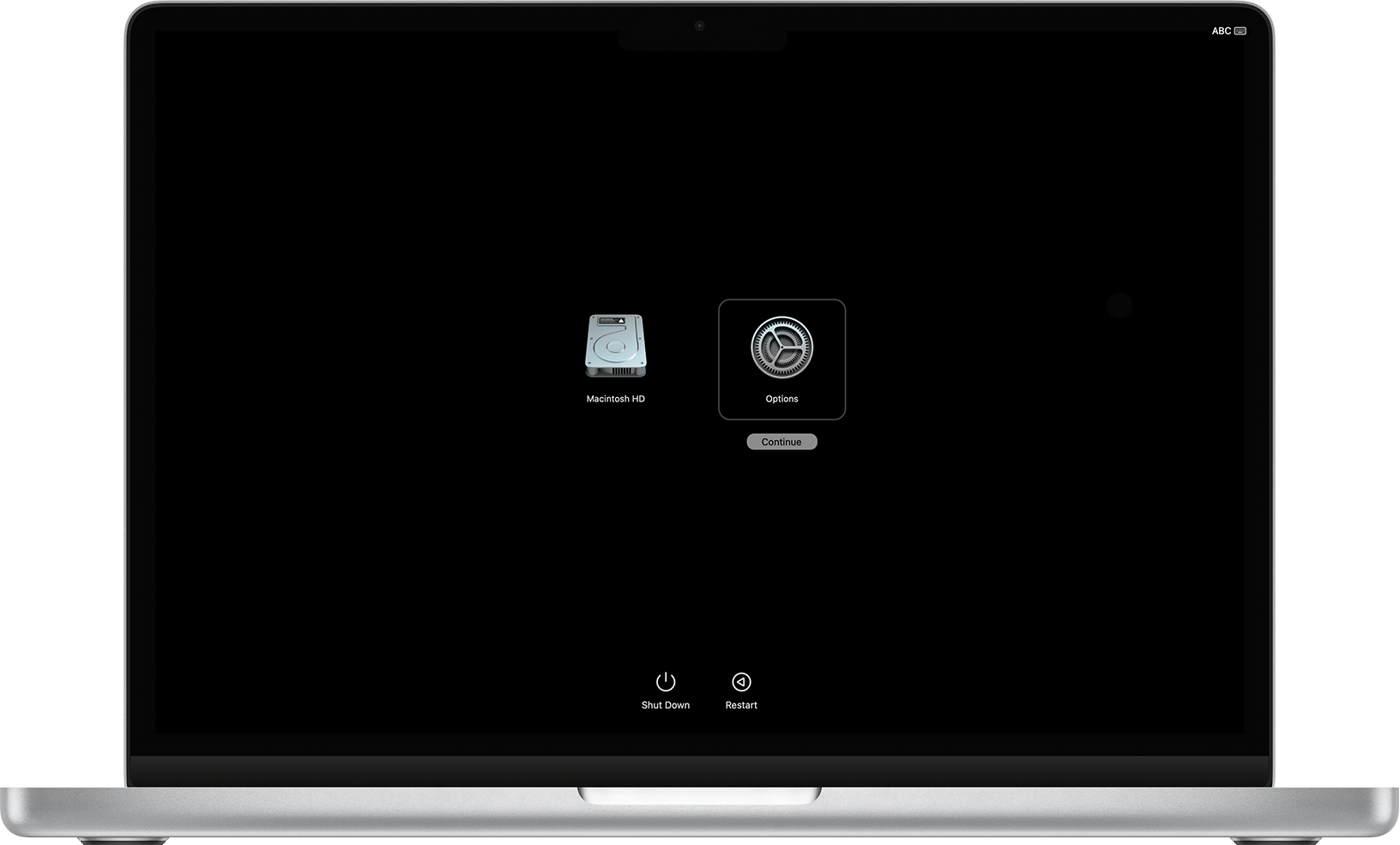 Startup Options on Mac with Apple silicon