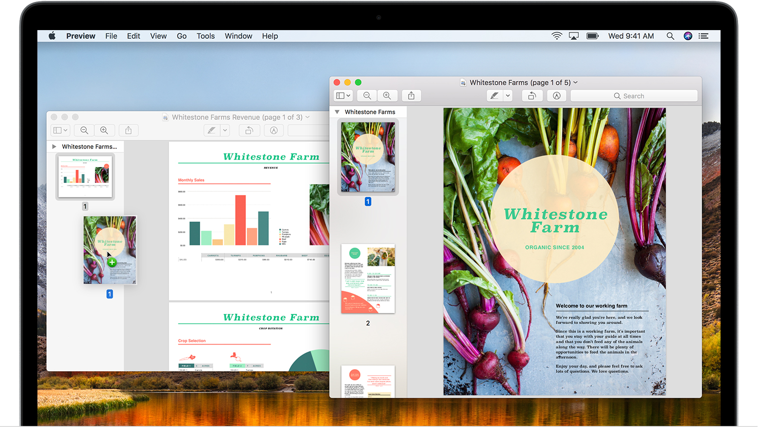 apple preview combine pdfs