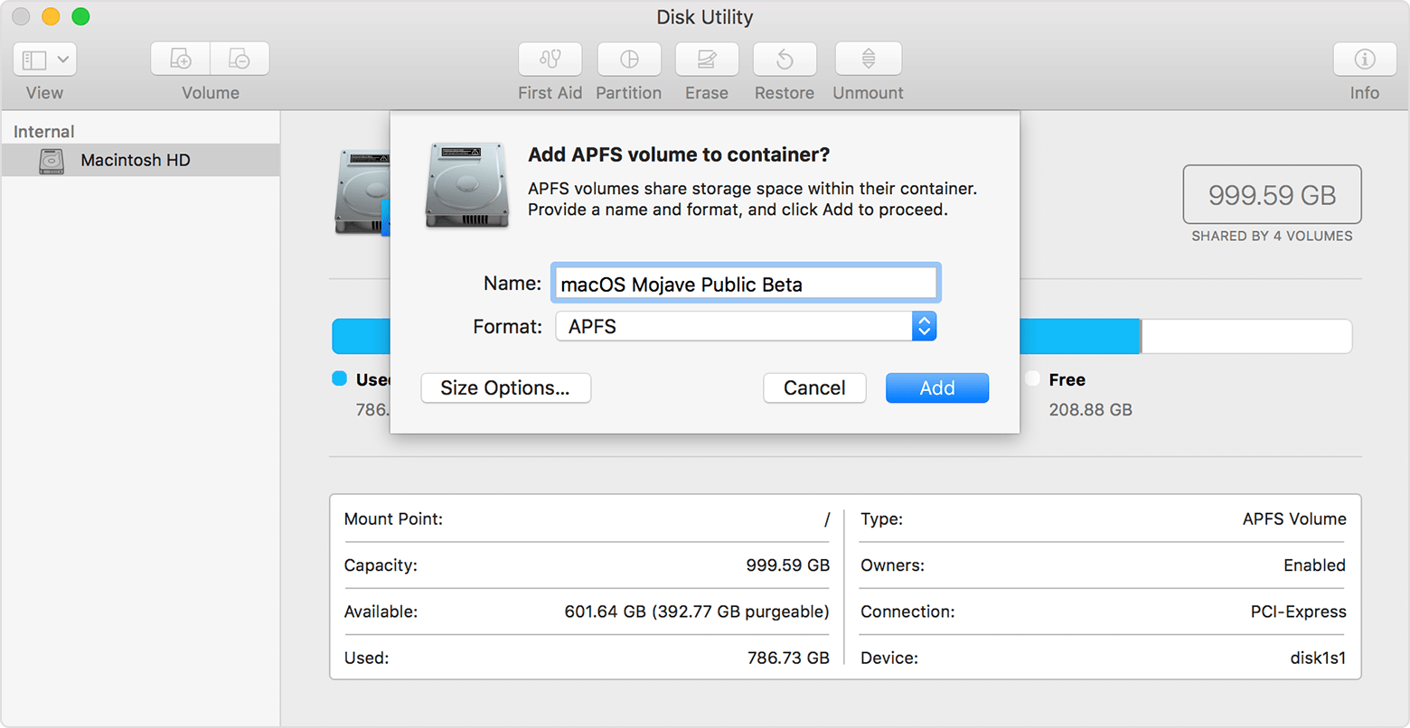 mac erase disk format options use on windows apfs