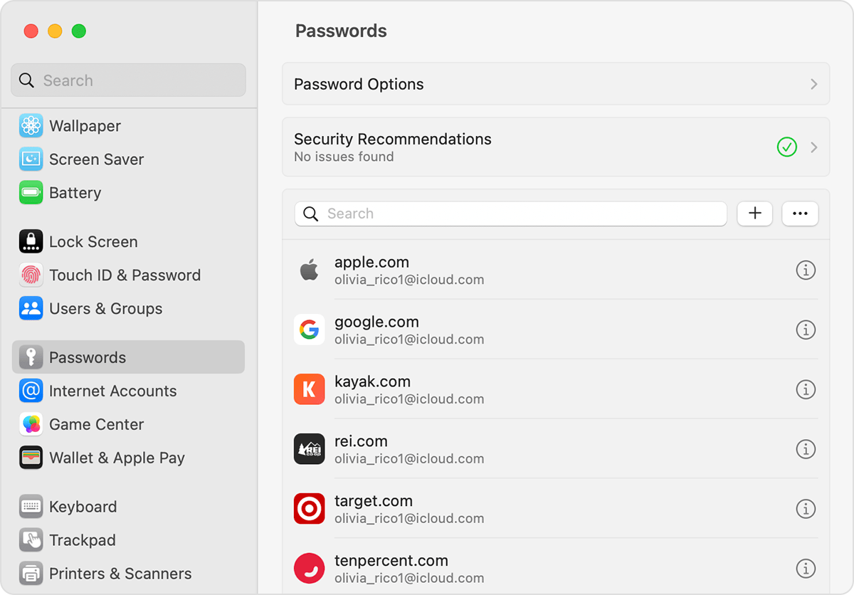 Sehen Sie sich auf dem Mac Ihre gespeicherten Passwörter und Passkeys in Systemeinstellungen an