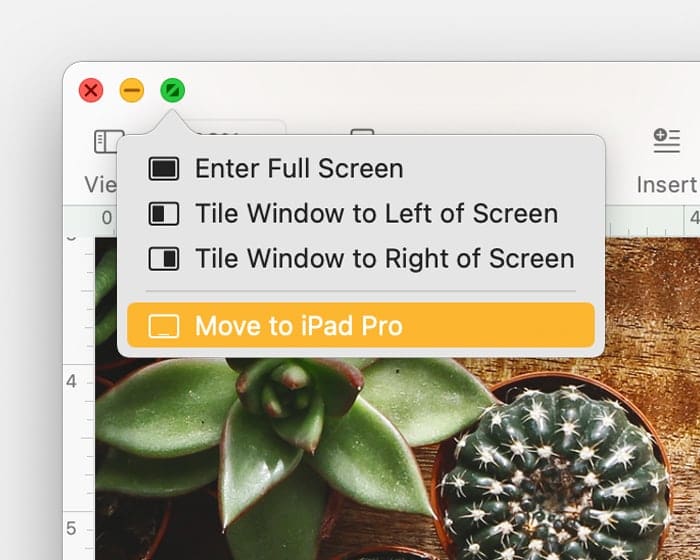 Document with full-screen button menu shown and Move to iPad selected