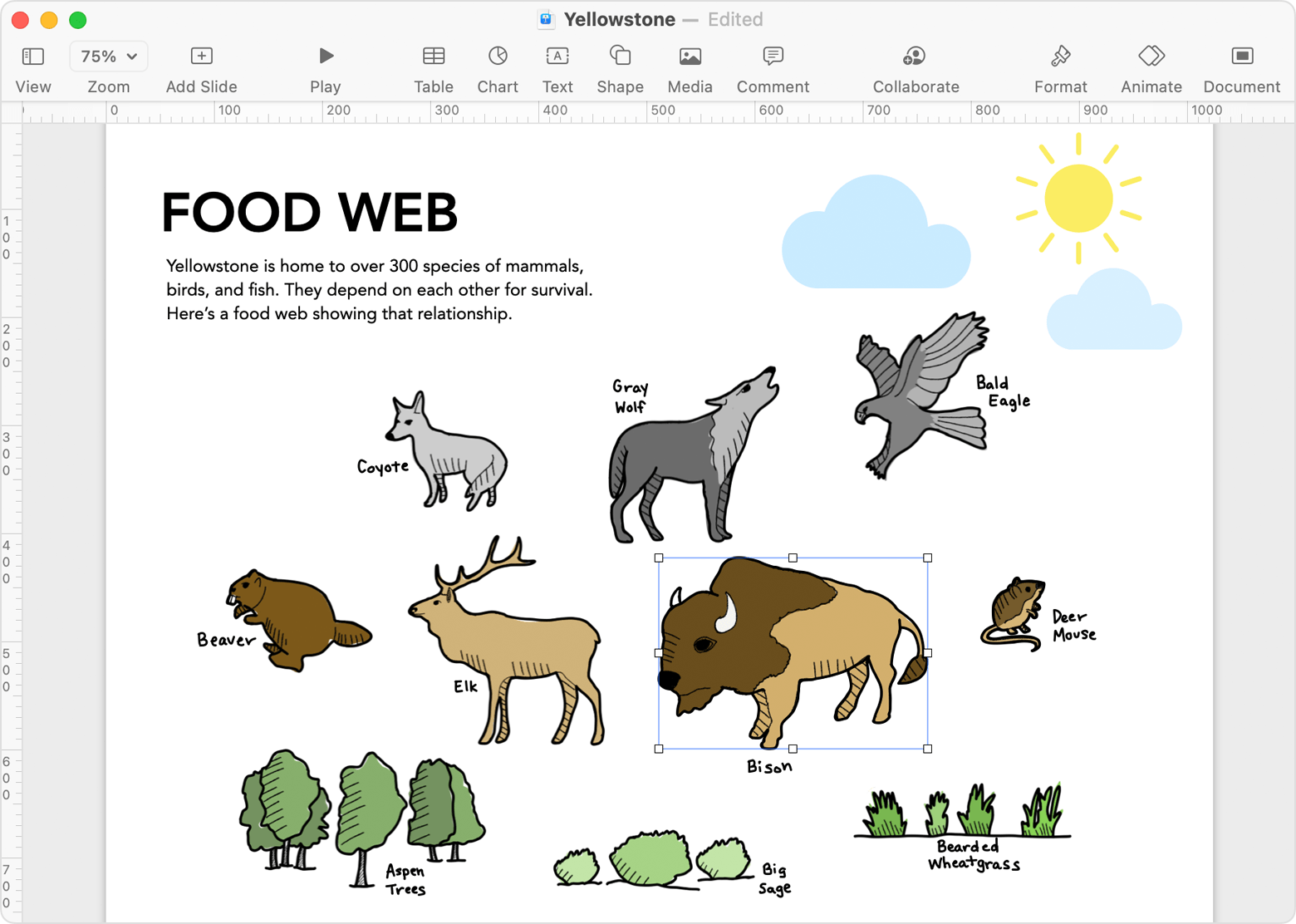 Use iPad or iPhone to sketch in or mark up Mac documents - Apple Support