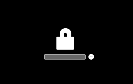 Startup screen showing lock icon and password field