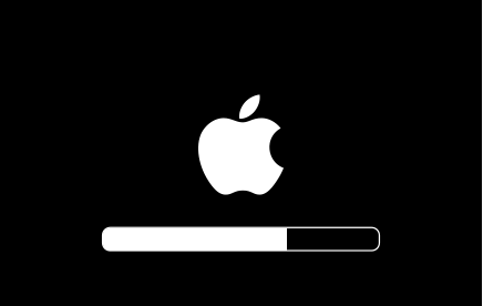 Macbook pro white screen apple logo spinning f nb