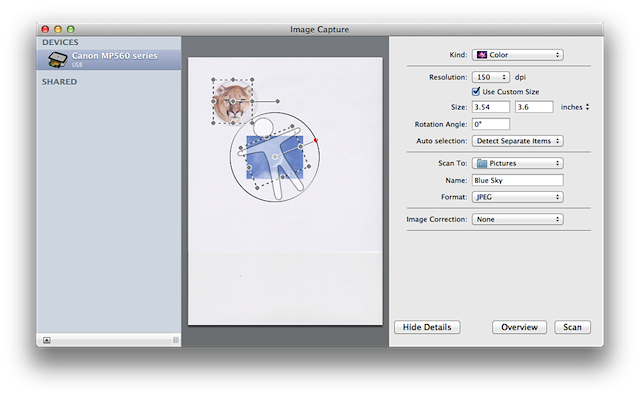 processing for mac viruses