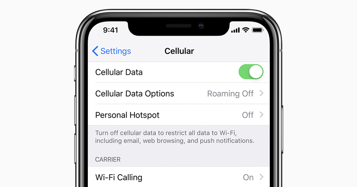 Check the cellular data usage on your iPhone and iPad - Apple Support