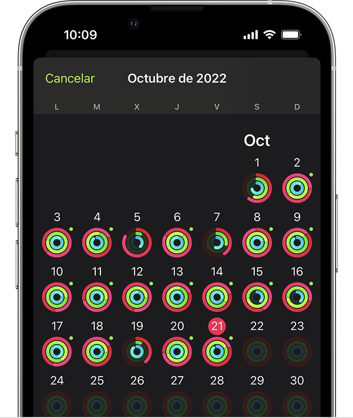 Una pantalla del iPhone que muestra el resumen general de la actividad del mes