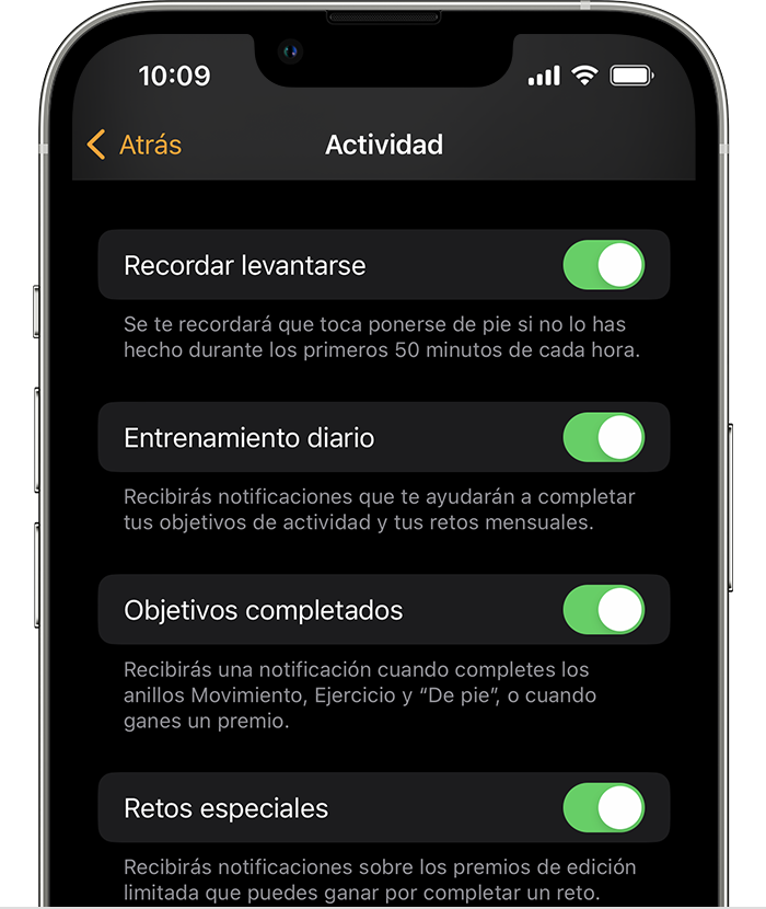 Una pantalla del iPhone que muestra las opciones de notificaciones y recordatorios de actividad