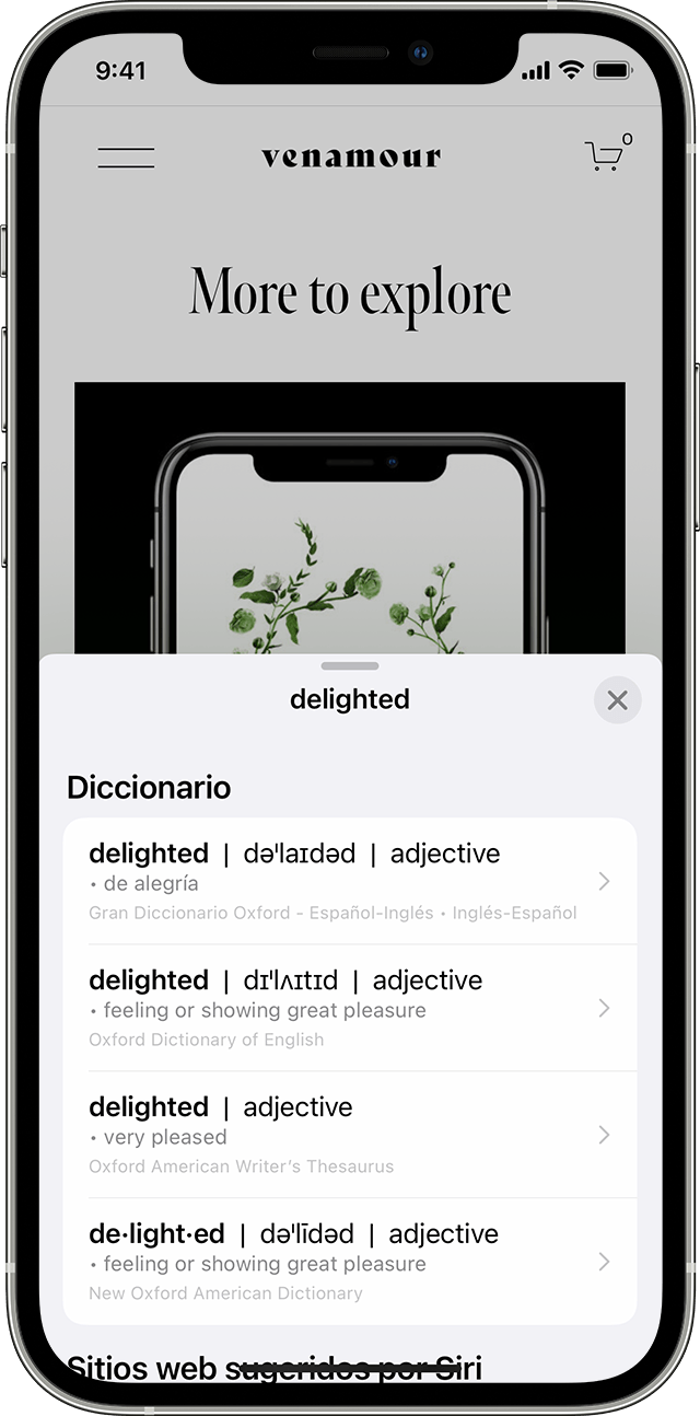 Un usuario de iPhone busca la palabra “encantado” en un diccionario después de usar Texto en vivo para identificar la palabra que aparece en una foto